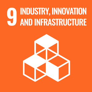 Goal 9: Build resilient infrastructure, promote sustainable industrialization and foster innovation