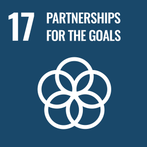 Goal 17: Revitalize the global partnership for sustainable development
